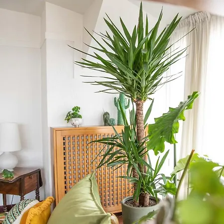 Skyline - Un Attico Da Sogno Apartment Desenzano del Garda